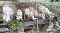 IMG_20261012_091602