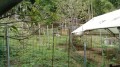 IMG_20261012_091643