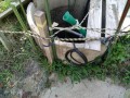 IMG_20261013_083534