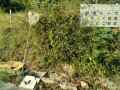 IMG_20261013_083540