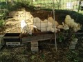 IMG_20261013_084608