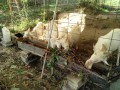IMG_20261013_084616