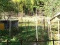 IMG_20261013_084637