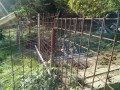 IMG_20261013_084648