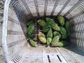 IMG_20261013_111724