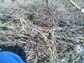 IMG_20261013_120640