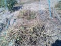 IMG_20261013_120643