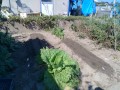 IMG_20261013_123034