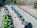 IMG_20261013_123108
