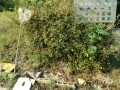 IMG_20261014_093552