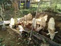 IMG_20261014_094305