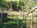 IMG_20261014_094341