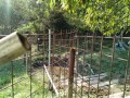 IMG_20261014_094355