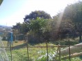 IMG_20261014_094357