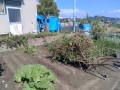 IMG_20261014_110703