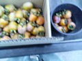 IMG_20261014_164806