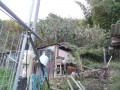IMG_20261014_164829