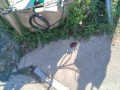 IMG_20261015_100054