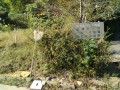 IMG_20261015_100104