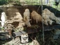 IMG_20261015_100812