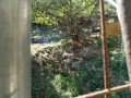 IMG_20261015_100848