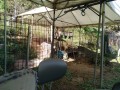 IMG_20261015_101037