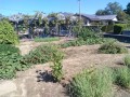IMG_20261015_110752
