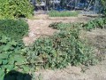 IMG_20261015_110759