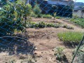 IMG_20261015_114035