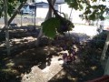 IMG_20261015_114058
