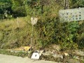 IMG_20261016_090602