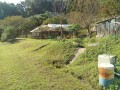 IMG_20261016_090639