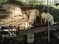 IMG_20261016_092145