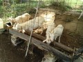 IMG_20261016_092158