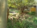 IMG_20261016_092220