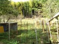 IMG_20261016_092228