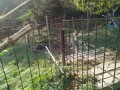 IMG_20261016_092239