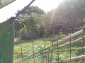 IMG_20261016_092240