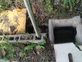 IMG_20261017_081921