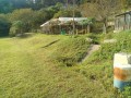 IMG_20261017_081945