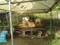 IMG_20261017_082123