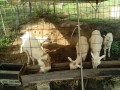 IMG_20261017_082149