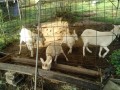 IMG_20261017_082155