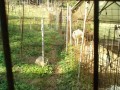 IMG_20261017_082211