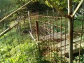 IMG_20261017_082220