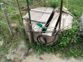 IMG_20261018_081942