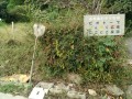 IMG_20261018_081948
