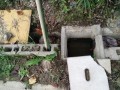 IMG_20261018_081954