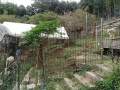 IMG_20261018_082102