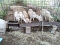 IMG_20261018_082352